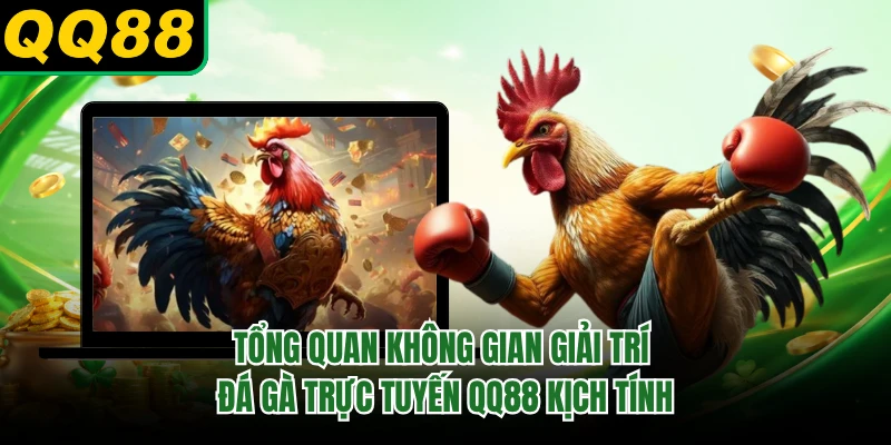 Tổng quan không gian giải trí đá gà trực tuyến QQ88 kịch tính